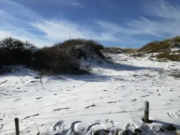 De Panne in de sneeuw (België)